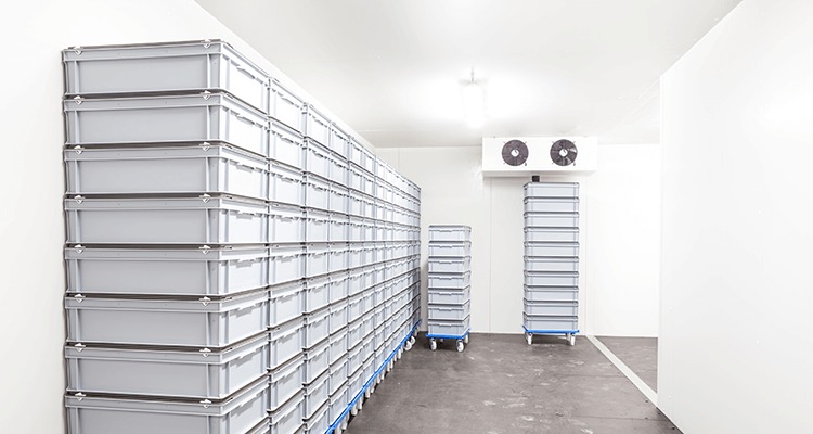 cold storage for food industry in Mumbai